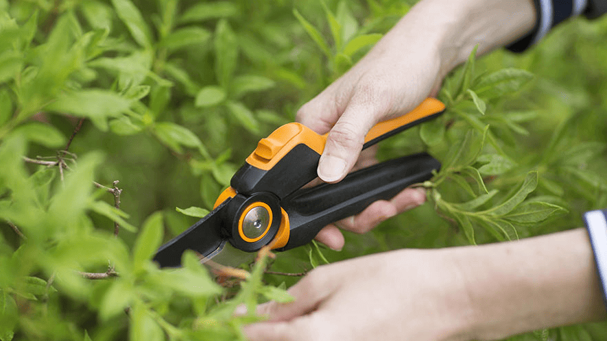 กรรไกรตัดกิ่งของแบรนด์ Fiskars