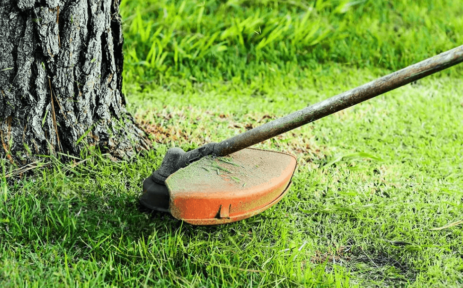 how-to-cut-grass-around-trees-without-hitting-barks