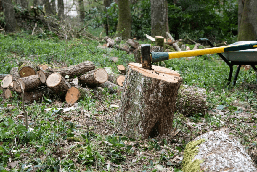 how-to-split-wood-splitting-maul
