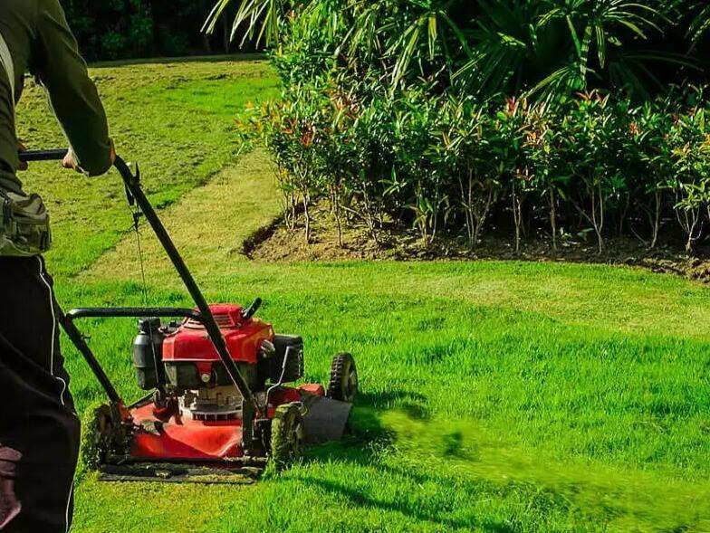 การดูแลสนามหญ้า
