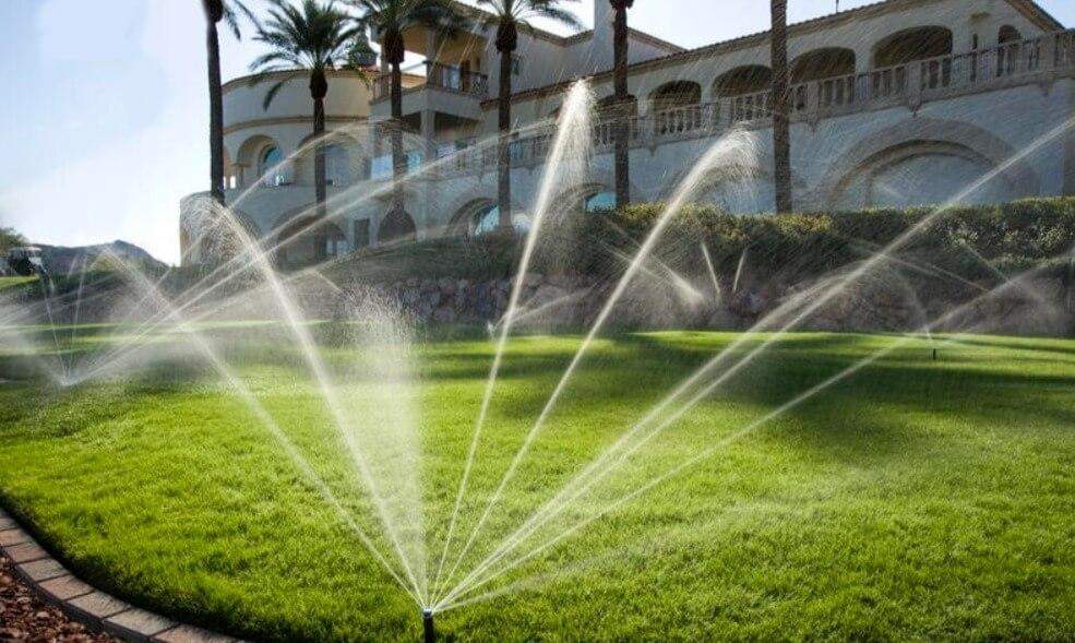 การรดน้ำ