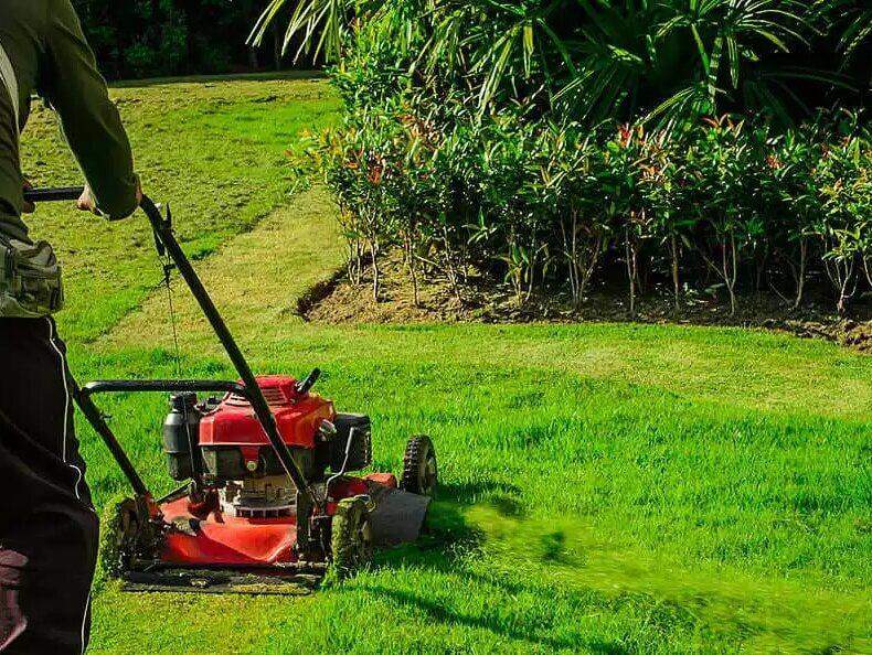 การตัดหญ้า