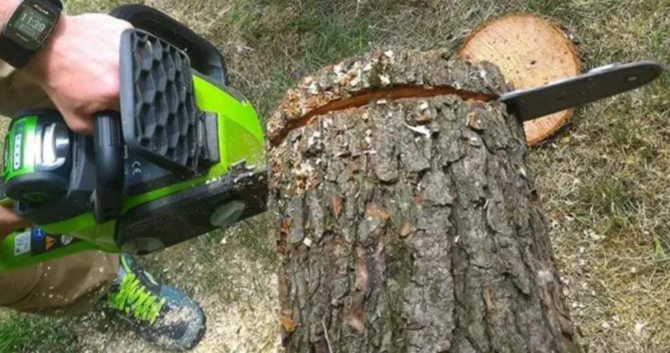 ทำไมควรเลือกเครื่องมือสวนไร้สายแบตเตอรี่แทนเครื่องยนต์สันดาป