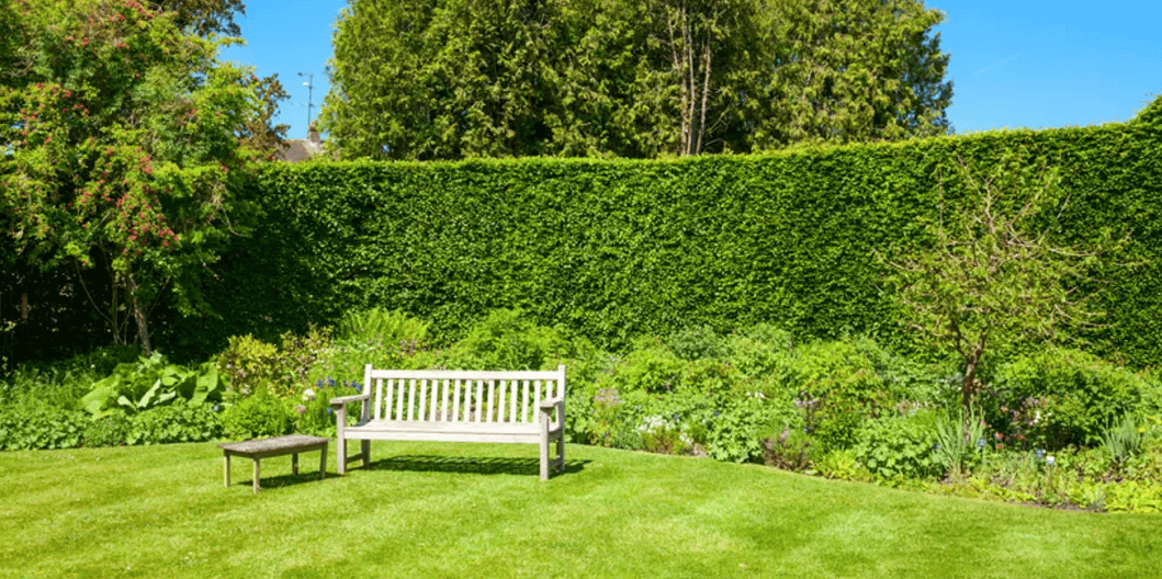 แนวพุ่มไม้เป็นรั้วธรรมชาติ